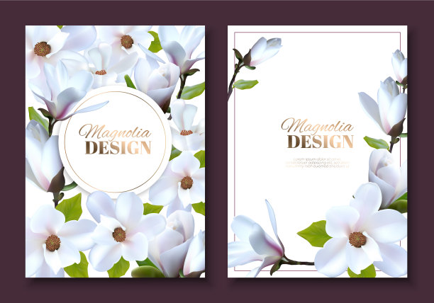 贺卡与木兰花，结婚小册子与装饰花。你好srp图片下载