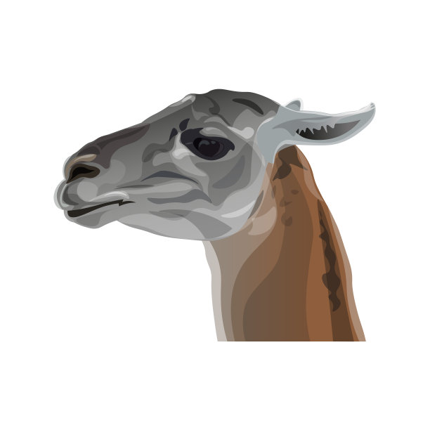 骆驼头像素材图片