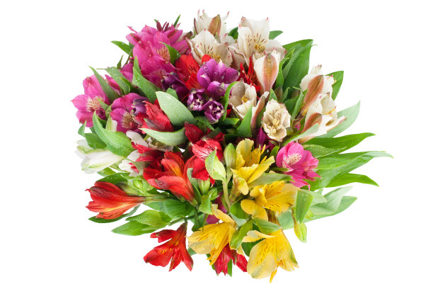 多色alstroemeria花圆形花束在白色的背景孤立的特写，百合花束假日海报，装饰设计元素的贺卡，花卉图案，美丽的旗帜图片下载