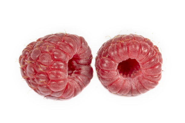 在白色背景上孤立的树莓图片下载