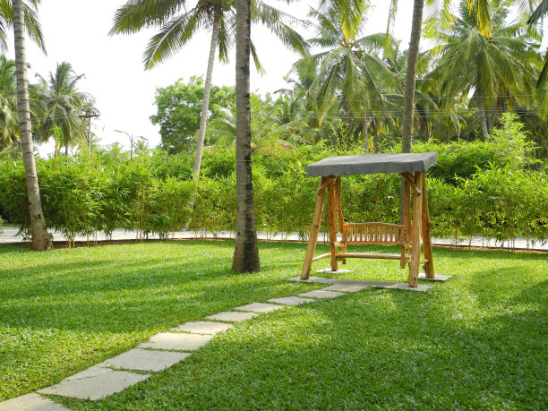 印度泰米尔纳德邦公园里的木制秋千图片下载