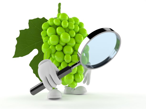 用放大镜看葡萄的特性图片下载