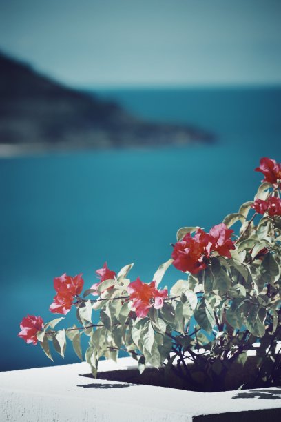 马萨特兰,墨西哥图片下载