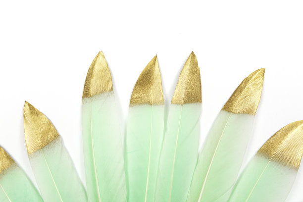 薄荷绿的羽毛带着金色的闪光图片下载