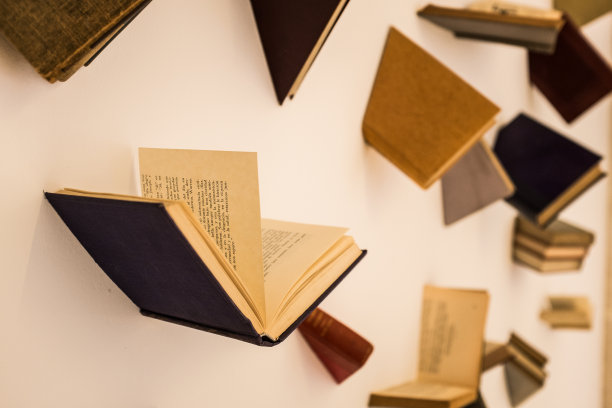 书是飞行图片下载