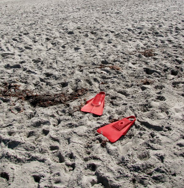 红色的鳍状肢留在沙滩上图片下载