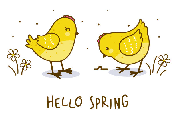 可爱的鸡孤立在白色的背景素材图片