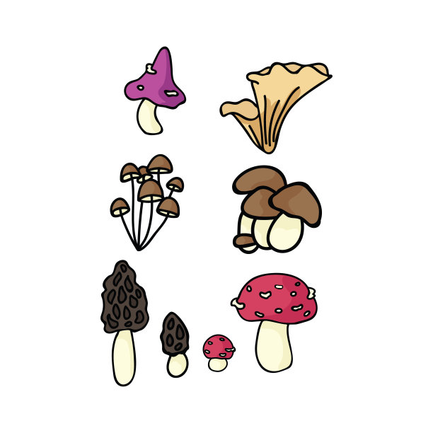 可爱的蘑菇卡通矢量插图主题集素材图片