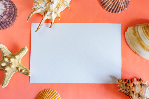 平躺活珊瑚背景与文字的地方。贝壳。设计的背景。图片下载