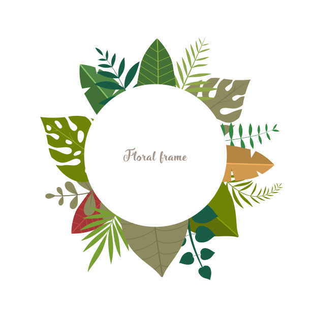 优雅的设计插图花卉框架模板内的文字图片下载
