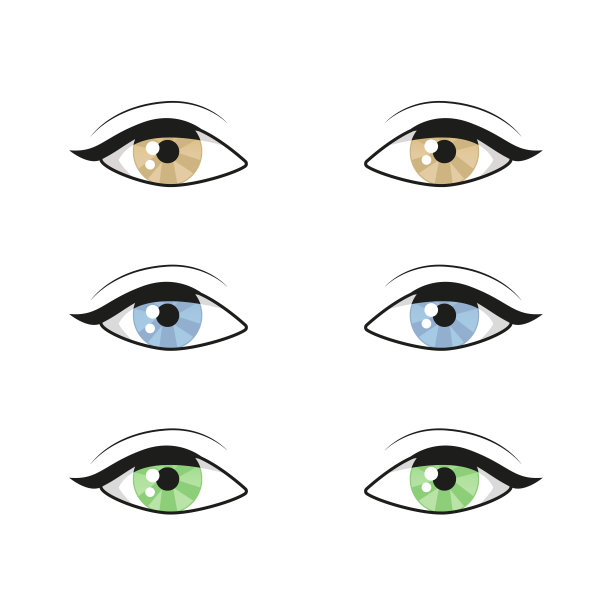 女女人眉眼图像集。时尚女孩的眼睛设计。矢量图图片下载