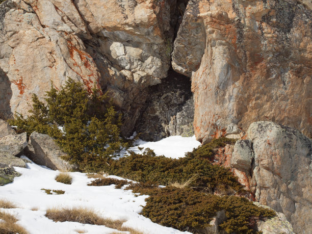 覆盖着苔藓和雪的古老岩石图片下载