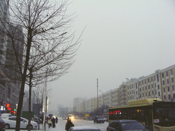 雪夜在城市。冬天的夜晚，在城市的马路上。图片下载