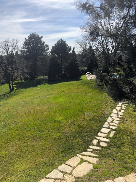 在花园小径图片下载