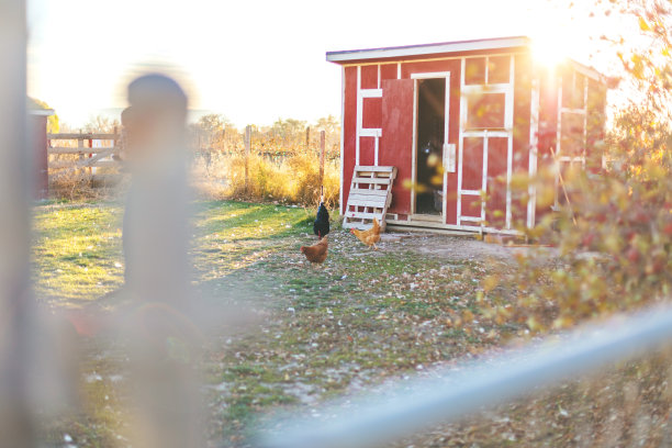 农场纹理与家庭和牲畜在西科罗拉多州具有各种背景图片下载