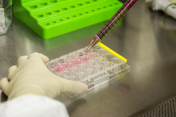 研发实验室实验图片下载