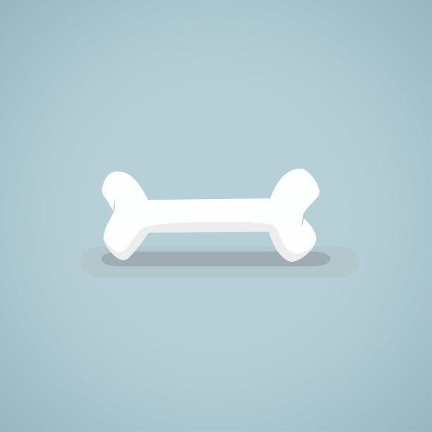 骨矢量图。图片下载