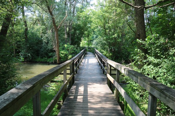 穿过尤宁维尔沼泽的小路图片下载