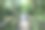 穿过尤宁维尔沼泽的小路图片下载