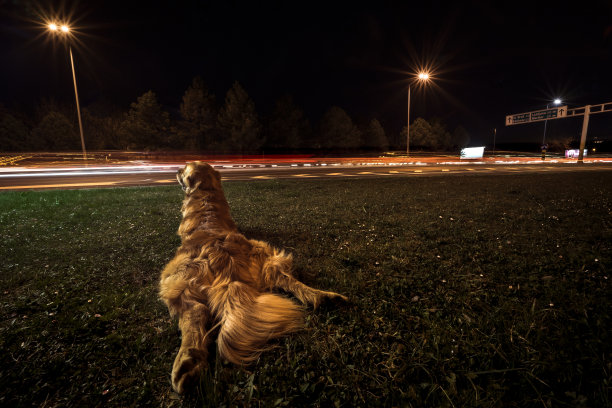 汽车凝视图片下载