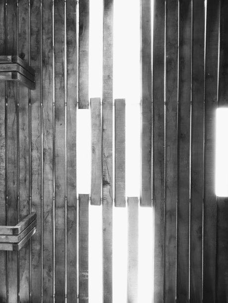 文摘木模图片下载