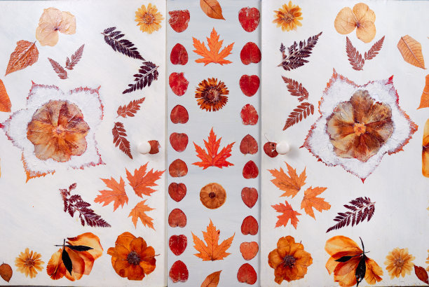 插着花和叶图片下载