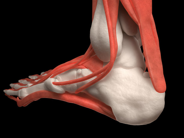 有肌肉的人的脚图片下载