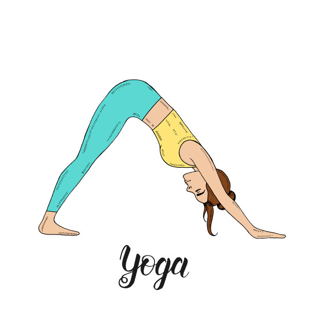 手绘的少女在颜色。年轻女性在Adho Mukha Shvanasana的位置。狗瑜伽姿势在素描风格。瑜伽。手写的字体。健身和运动图片下载