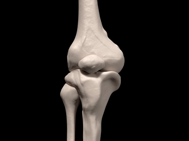 人的膝盖特写图片下载