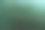 露珠在绿色的黑色背景。软焦点图片下载