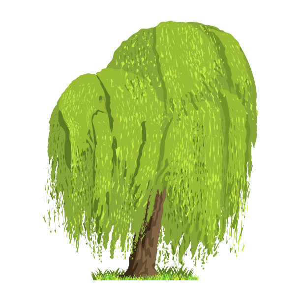 乔木四季落叶——春、夏、秋、冬。自然与生态。青树插图图片下载