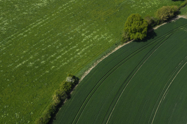 春季麦田鸟瞰图图片下载