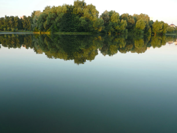 城市公园的夏天图片下载