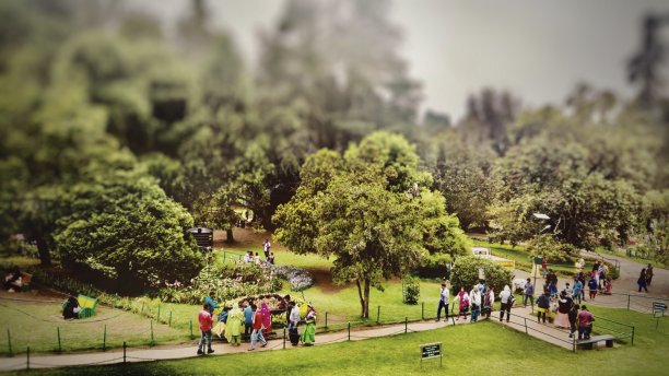 奥蒂场景图片下载