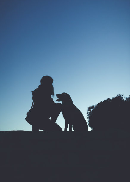 黄昏时分，女人照顾拉布拉多狗的剪影图片下载