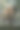 丛林大象图片下载