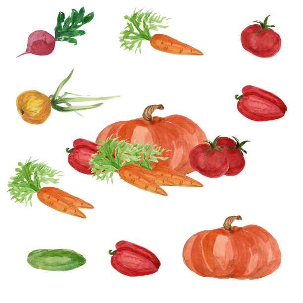 手绘植物食物水彩插画图片下载