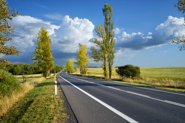 空旷的柏油路之间的树木在秋天的风景图片下载