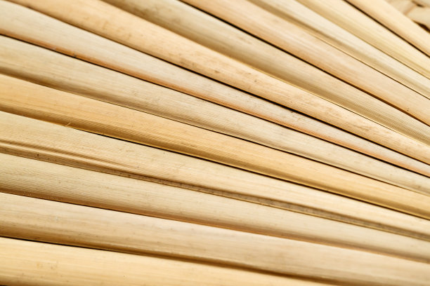 竹结构柳条图片下载