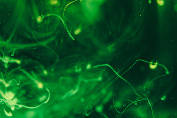 绿色背景使水冒泡。关闭了。图片下载