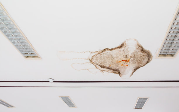 石膏天花板室内漏水，真菌损坏图片下载