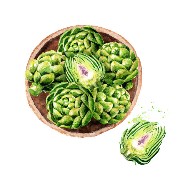 在盘顶视图组成的新鲜洋蓟。水彩手绘插图图片下载