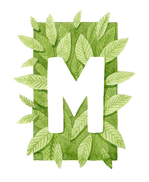 大写字母M与绿色水彩叶交织。图片下载