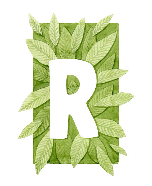 大写字母R与绿色水彩叶交织。图片下载