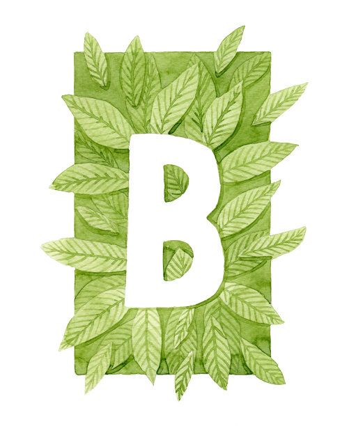 大写字母B与绿色水彩叶交织。图片下载