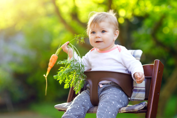 可爱可爱的小女孩抱着新鲜的胡萝卜吃。漂亮的孩子吃着健康的零食。小女孩坐在高椅子上。6个月大的孩子，夏天在户外吃蔬菜图片下载