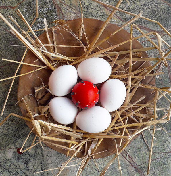 白色和红色的复活节鸡蛋与稻草和野生香草图片下载