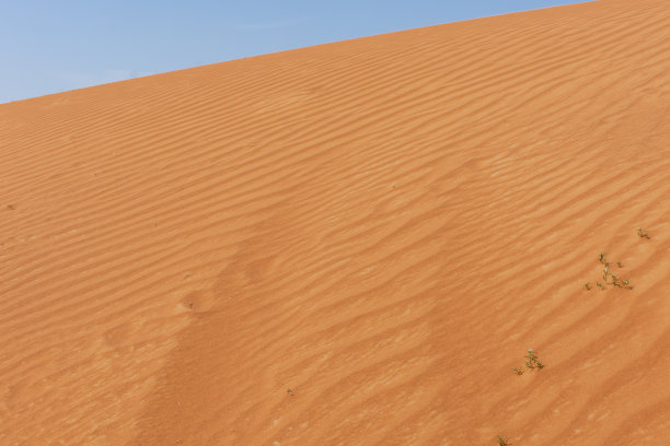 阿拉伯联合酋长国的沙丘纹理和图案图片下载