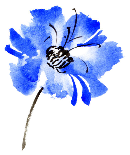 水彩画模糊花图片下载