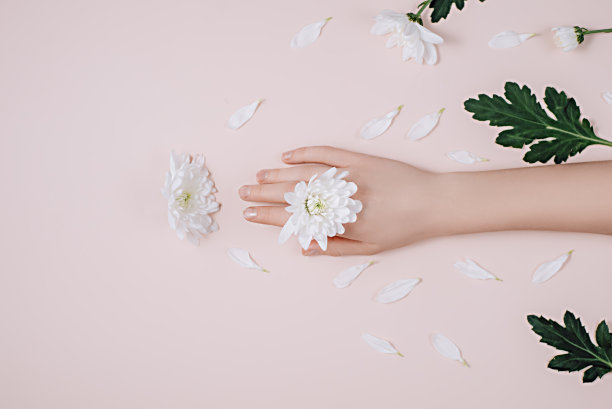 创意美特写照片手女性与白花在夏天的时间。概念手部护理，抗皱，抗衰老霜，spa。平铺构图在粉红色的背景为美丽的博客。图片下载